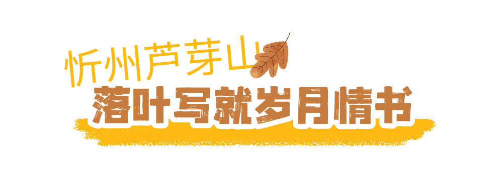 京城捡秋指南2.png