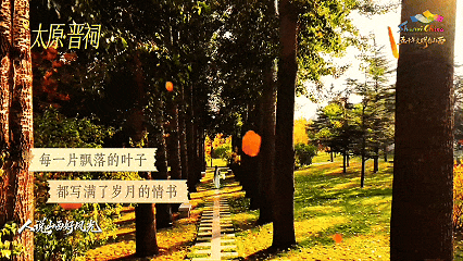 9月9日(1).gif