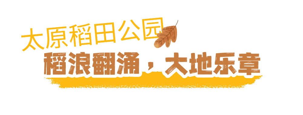 京城捡秋指南2 (2).png