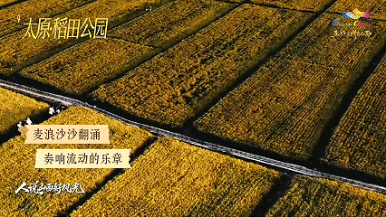 9月9日(3).gif