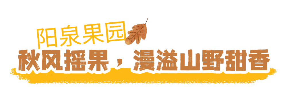京城捡秋指南2 (3).png