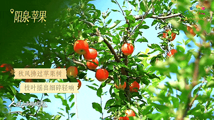 9月9日(4).gif