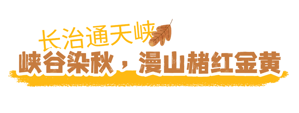 京城捡秋指南2 (4).png