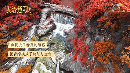 9月9日(5).gif