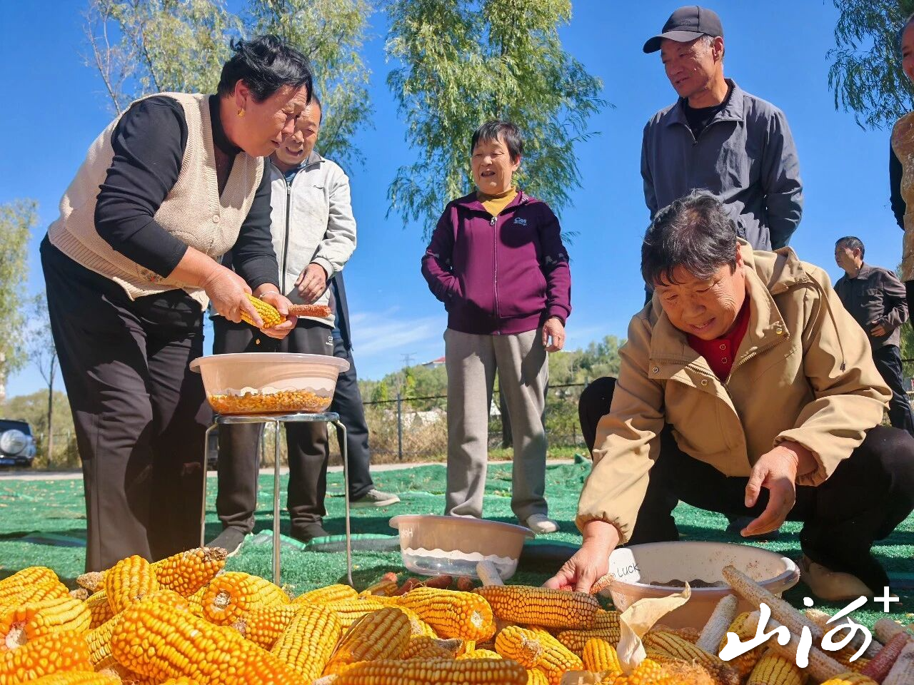 微信图片_2026-10-08_154737_577 微信图片_2026-10-08_154737_577