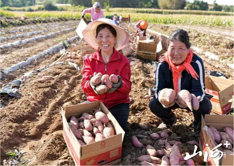 微信图片_2026-10-15_154432_701 微信图片_2026-10-15_154432_701