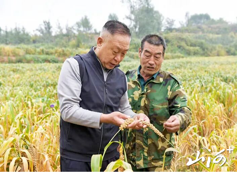 微信图片_2026-10-15_154442_875 微信图片_2026-10-15_154442_875