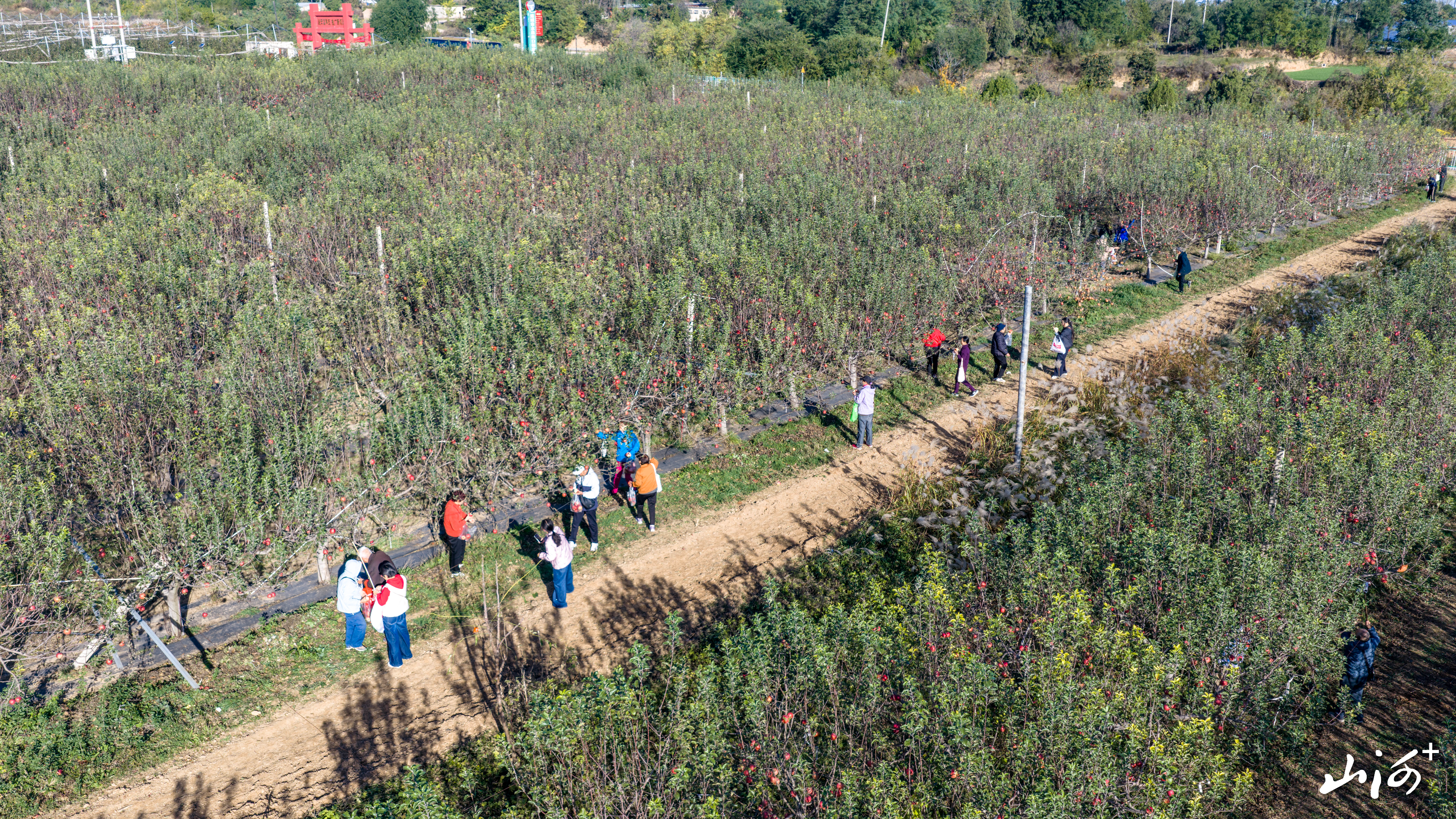 DJI_20261021084229_0169_D 拷贝