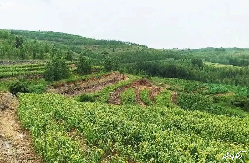 微信图片_2026-10-27_094356_716 微信图片_2026-10-27_094356_716
